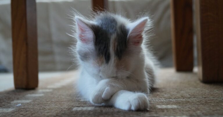 Comment savoir si bébé est fatigué ? Les signes à surveiller